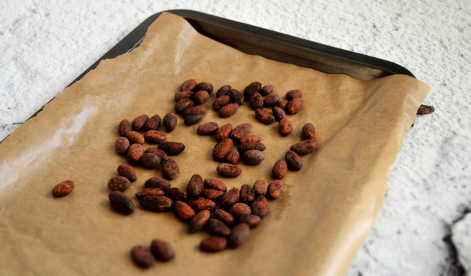 Prażenie ziaren kakaowca