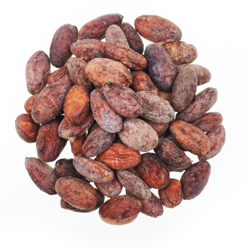 Peru Satipo BIO ziarno kakaowca